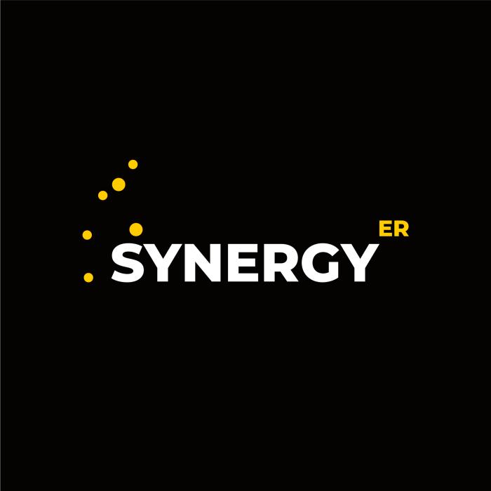 Site internet de Synergy er